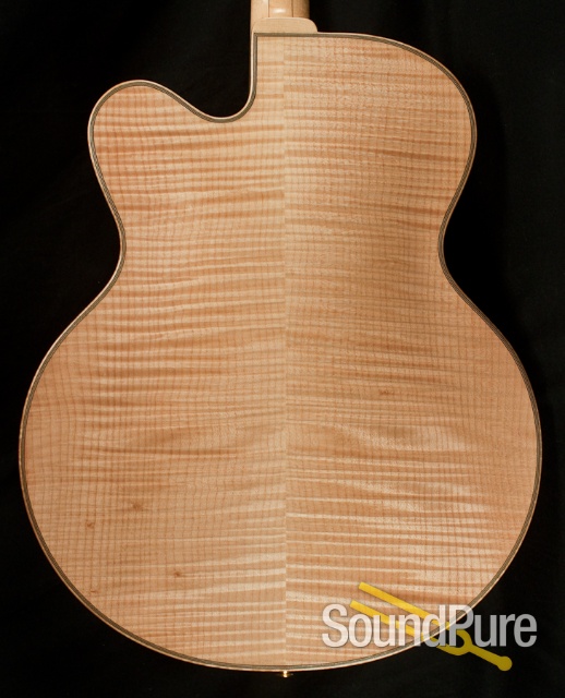 Buscarino Artisan Archtop Guitar - NEAR MINT! — image 12
