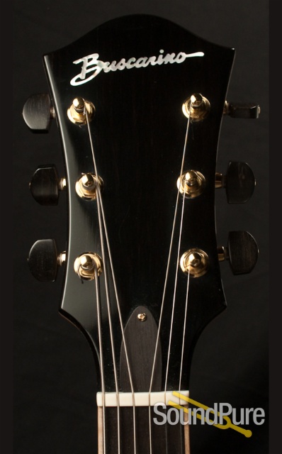 Buscarino Artisan Archtop Guitar - NEAR MINT! | Soundpure.com