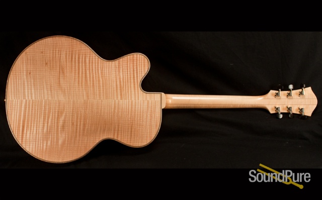 Buscarino Artisan Archtop Guitar - NEAR MINT! — image 15