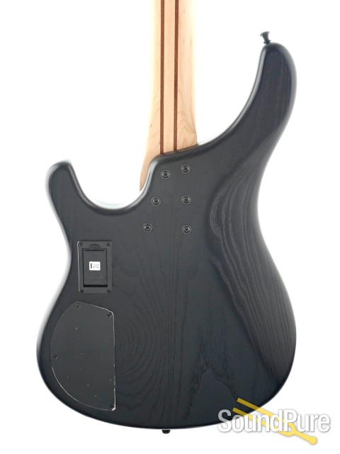 Sandberg Basic Ken Taylor Signature 5-String Bass #42255 — image 5