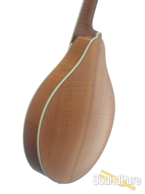 Bourgeois M5A Mandolin #M2301023 — image 4