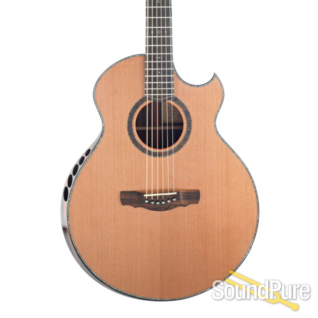 Ryan Guitars Cathedral Grand Fingerstyle Guitar #1074 - Used — image 1
