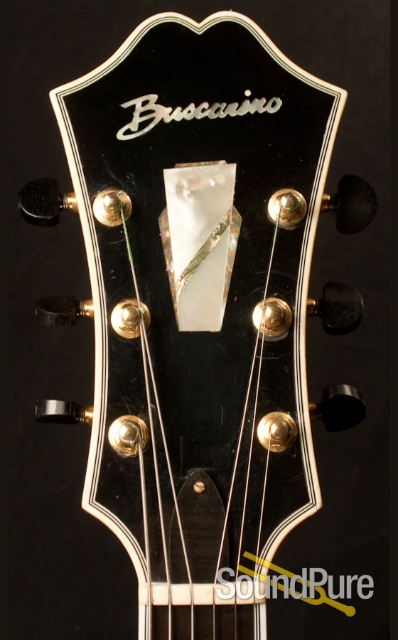Buscarino Monarch Prototype Archtop Guitar With MIDI - USED — image 3