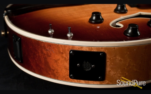 Buscarino Monarch Prototype Archtop Guitar With MIDI - USED — image 10
