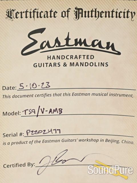 Eastman T59/V-AMB Thinline Electric Guitar #P2202477 — image 5
