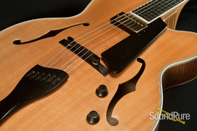 Buscarino Artisan Archtop Guitar - USED — image 6