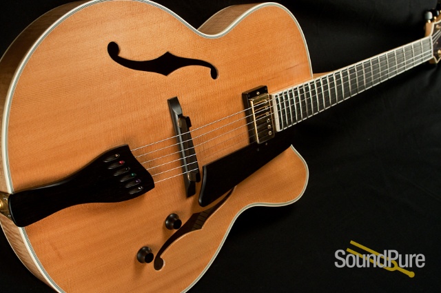 Buscarino Artisan Archtop Guitar - USED — image 7