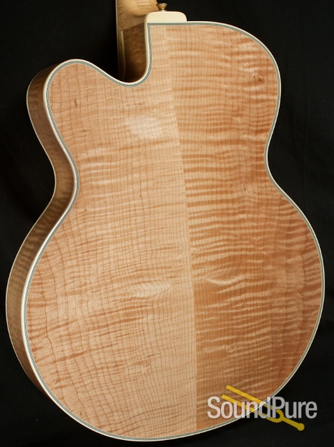 Buscarino Artisan Archtop Guitar - USED — image 10