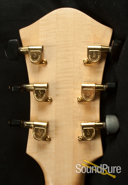 Buscarino Artisan Archtop Guitar - USED — image 11