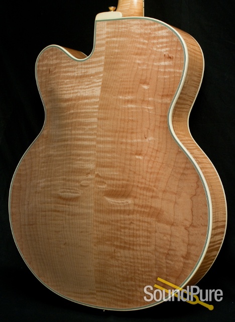 Buscarino Artisan Archtop Guitar - USED — image 12
