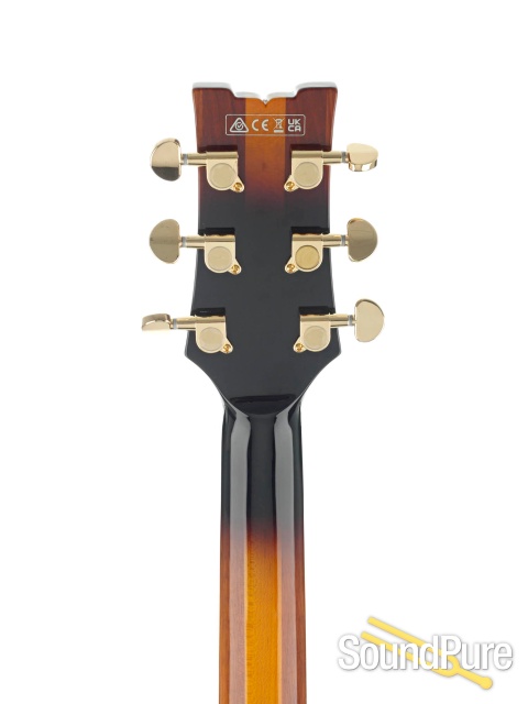 Ibanez JSM10 John Scofield Guitar #PW22060329 - Used — image 7