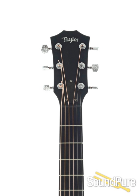 Taylor Custom Running Horses GA  Acoustic #1203090116 - Used — image 8