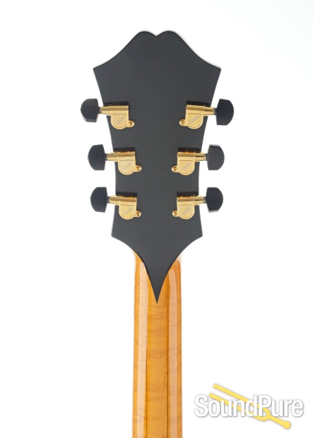 Buscarino Monarch Archtop Electric Guitar #B0617295 - Used — image 6