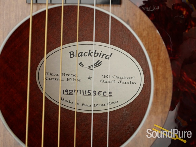 Blackbird El Capitan Ekoa Guitar #19271115SECE - Used — image 7