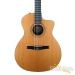 34193-taylor-ns24ce-g-nylon-cutaway-guitar-210819004-used-18a51d37d72-16.jpg
