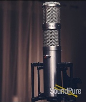 Vanguard V24 Stereo Tube Condenser Microphone Vanguard V24 Stereo Tube Condenser Microphone