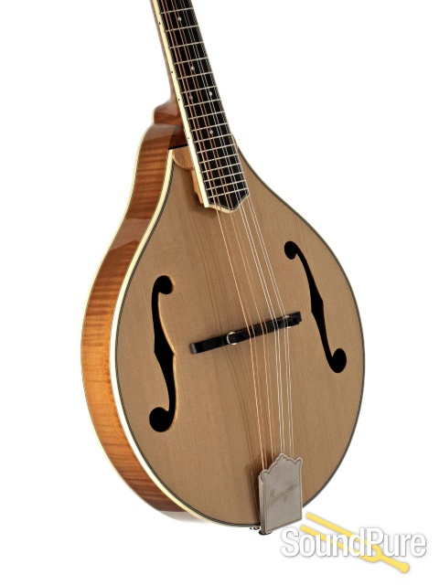 Bourgeois M5A Mandolin #M2301009 — image 3