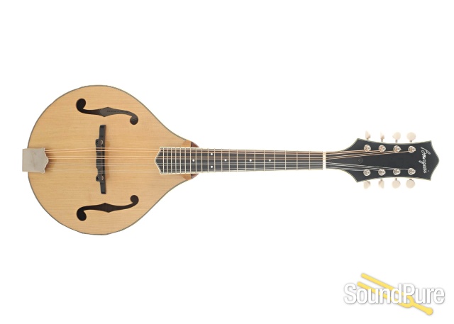 Bourgeois M5A Mandolin #M2301009 — image 4