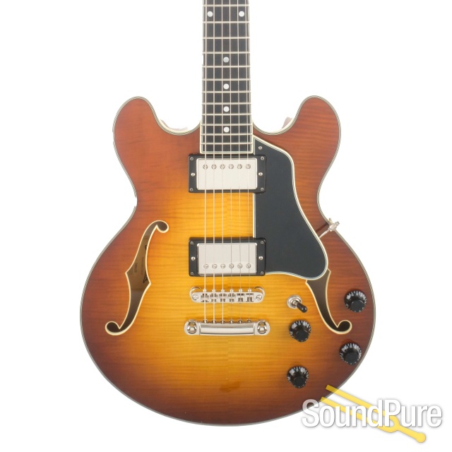 Eastman T484-GB Semi-Hollow Electric Guitar #P2302215 — image 1