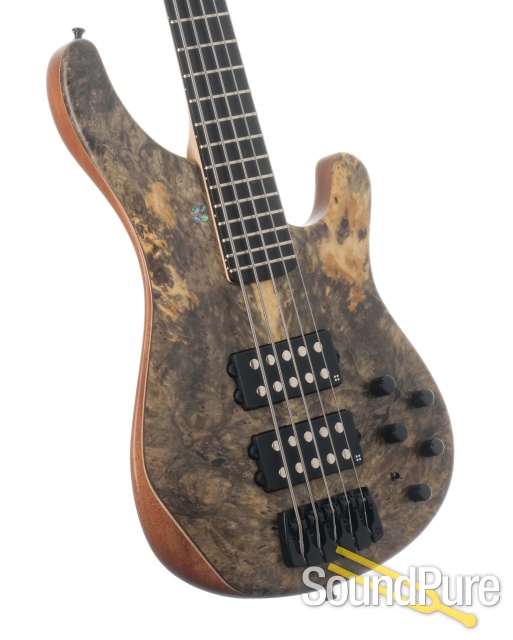 Sandberg Basic Ken Taylor Signature 5-String Bass #42256 — image 2