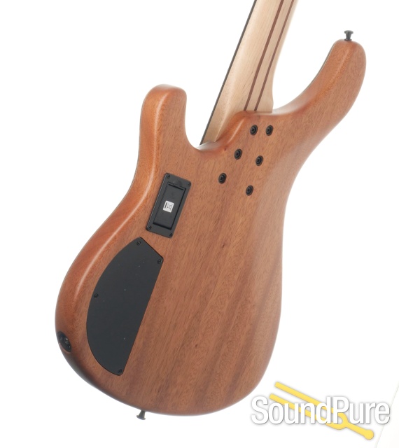 Sandberg Basic Ken Taylor Signature 5-String Bass #42256 — image 3