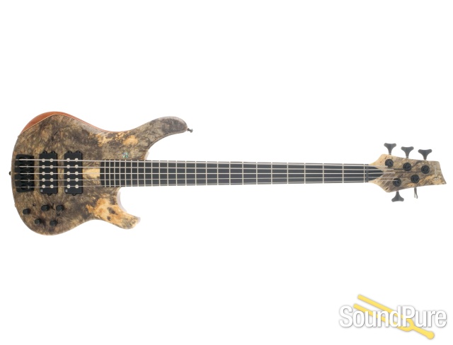 Sandberg Basic Ken Taylor Signature 5-String Bass #42256 — image 4