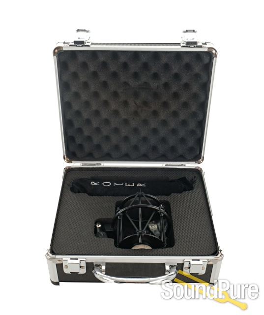 Royer Labs R-101 Ribbon Microphone - Used — image 2