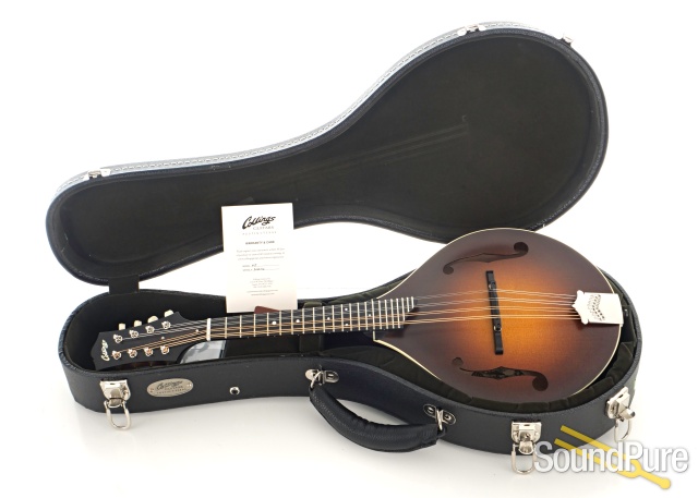 Collings MT Mandolin w/ Ivoroid Binding Sunburst #A4576 — image 4