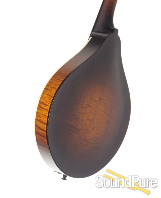 Collings MT Mandolin w/ Ivoroid Binding Sunburst #A4576 — image 5