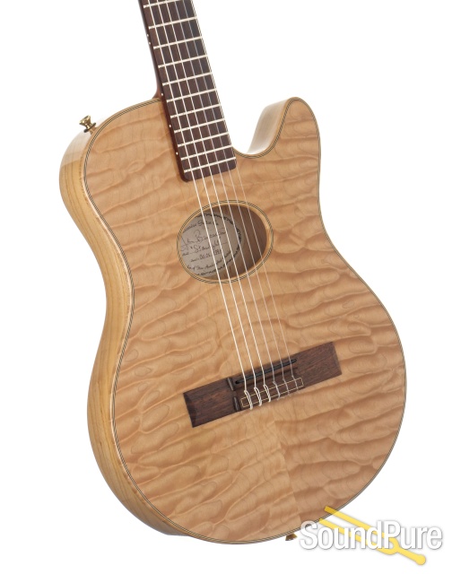 Buscarino Starlight Hybrid Guitar #BG06113914 - Used — image 2