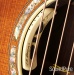 35144-breedlove-performance-focus-se-acoustic-12924-used-18d3cf4eb1b-28.jpg