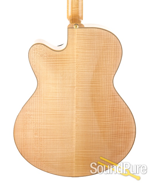 Buscarino Prodigy Model Archtop Guitar - Used — image 5