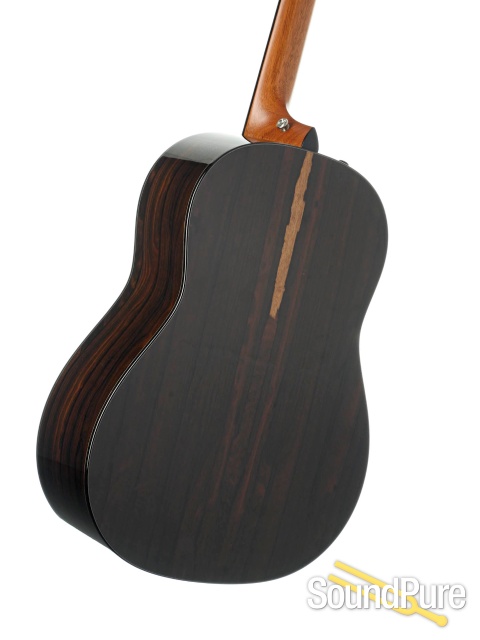 Taylor Custom Running Horses GP  Acoustic #1203090116 - Used — image 2