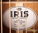 35746-iris-df-sunburst-acoustic-guitar-984-18f733cf039-5b.jpg