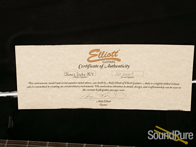 Elliot Guitars James Duke Shoreline Gold Guitar #JD0067 — image 3