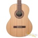 36212-kremona-fiesta-fc-cedar-indian-rosewood-nylon-10-051-2-10-191338b0203-15.jpg