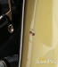36283-valley-arts-larry-carlton-model-guitar-13-100-used-191ed5045f5-2f.jpg