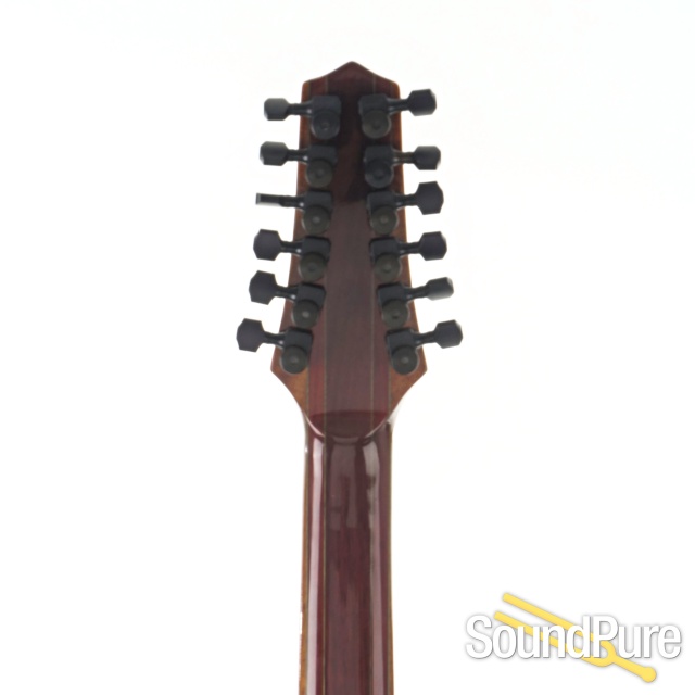 Buscarino Starlight 12-String Acoustic Electric - Used — image 7