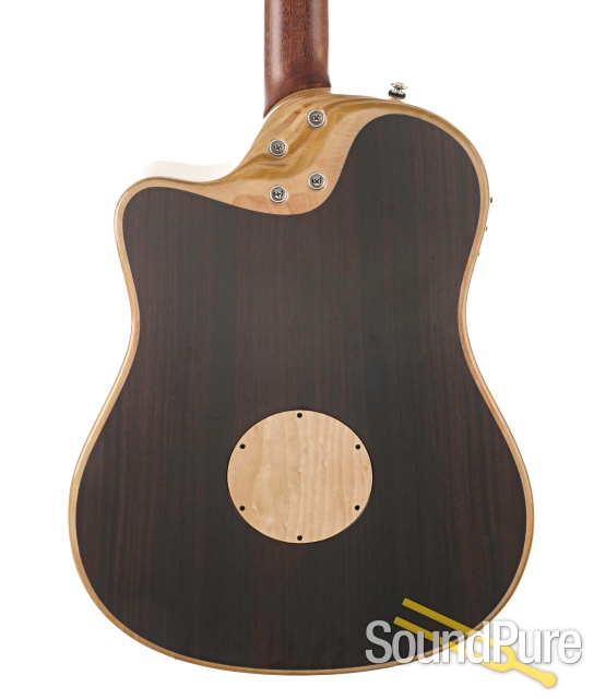 L.R. Baggs AEG1 Thineline Acoustic Guitar #24-0267 — image 5