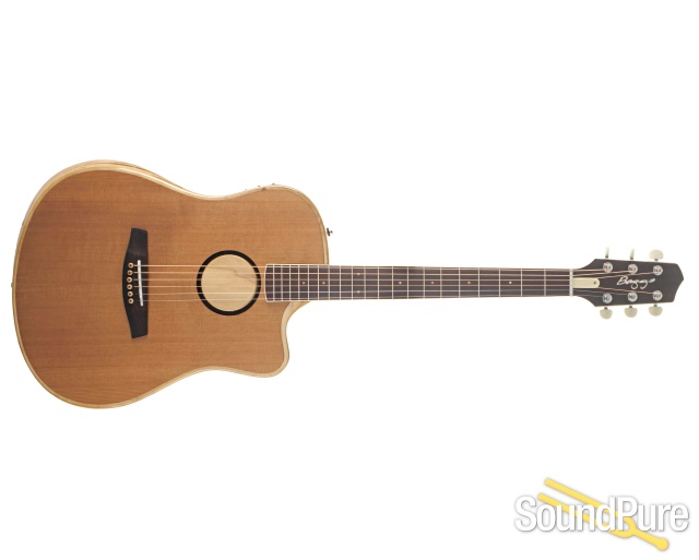 L.R. Baggs AEG1 Thineline Acoustic Guitar #24-0267 — image 8