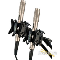 Royer Labs R-122 MKII Active Ribbon Mic & RSM-SS1 Mount Pair Royer Labs R-122 MKII Active Ribbon Mic & RSM-SS1 Mount Pair