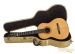 37524-jeremy-cooper-nylon-string-spec-ed-guitar-50-used-194fc189e9e-3d.jpg