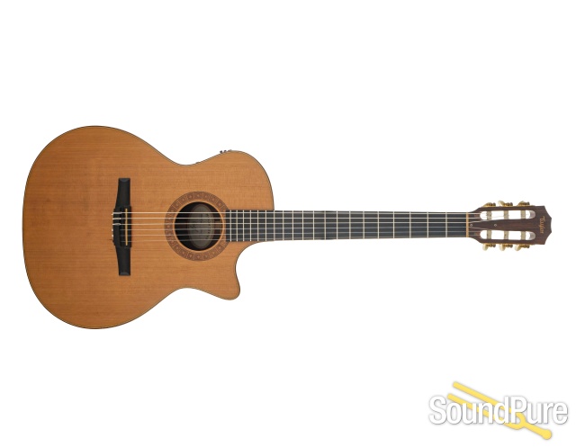 Taylor NS74CE Nylon Acoustic #20060227705 - Used — image 5