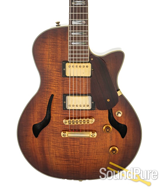 Alvarez Summit 6501 Semi-Hollow Guitar #921184 - Used — image 1