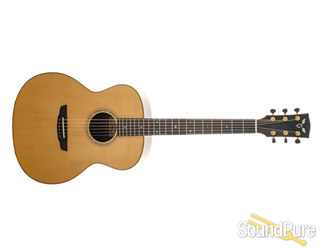 Goodall Mahogany Concert Jumbo Guitar #6199 - Used — image 5
