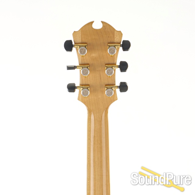 D'Aquisto Jazz Line Archtop #09081020 - Used — image 7