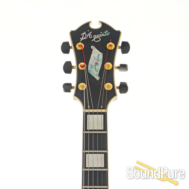 D'Aquisto Jazz Line Archtop #09081020 - Used — image 8