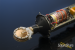 39806-united-studio-technologies-ut-tube67-microphone-1999b4d413b-35.png