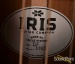 39902-iris-df-natural-guitar-1463-199ed443aef-38.jpg