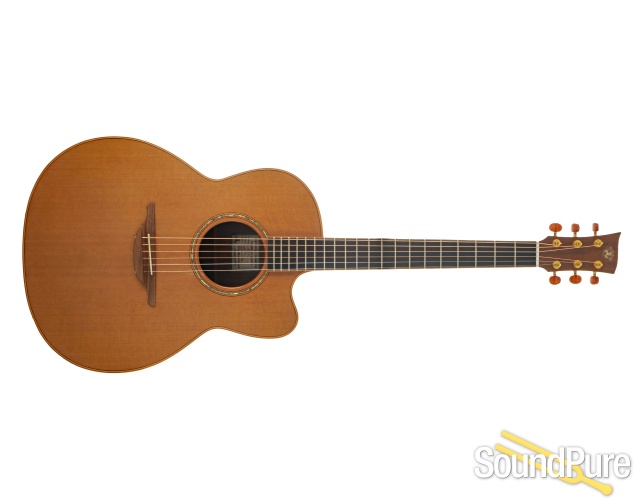 McIlroy A25C Guitar #117 - Used — image 5